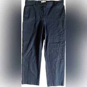 Christopher & Banks Black straight leg pants with stretch. Women’s Size 16P